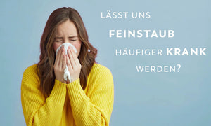 Feinstaub und Temperatur beeinflussen Ausbreitung der Grippe