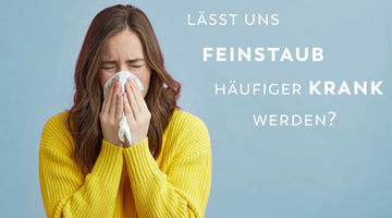 Feinstaub und Temperatur beeinflussen Ausbreitung der Grippe
