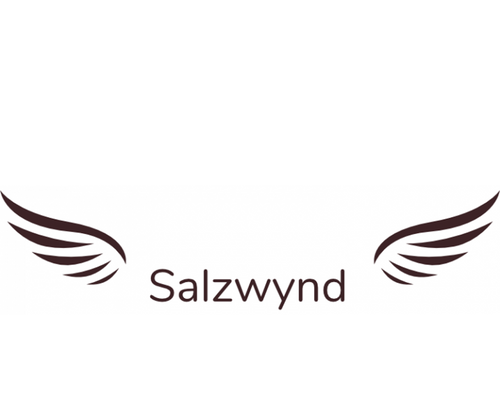 Partner Salzwynd Logo ProActiveAir